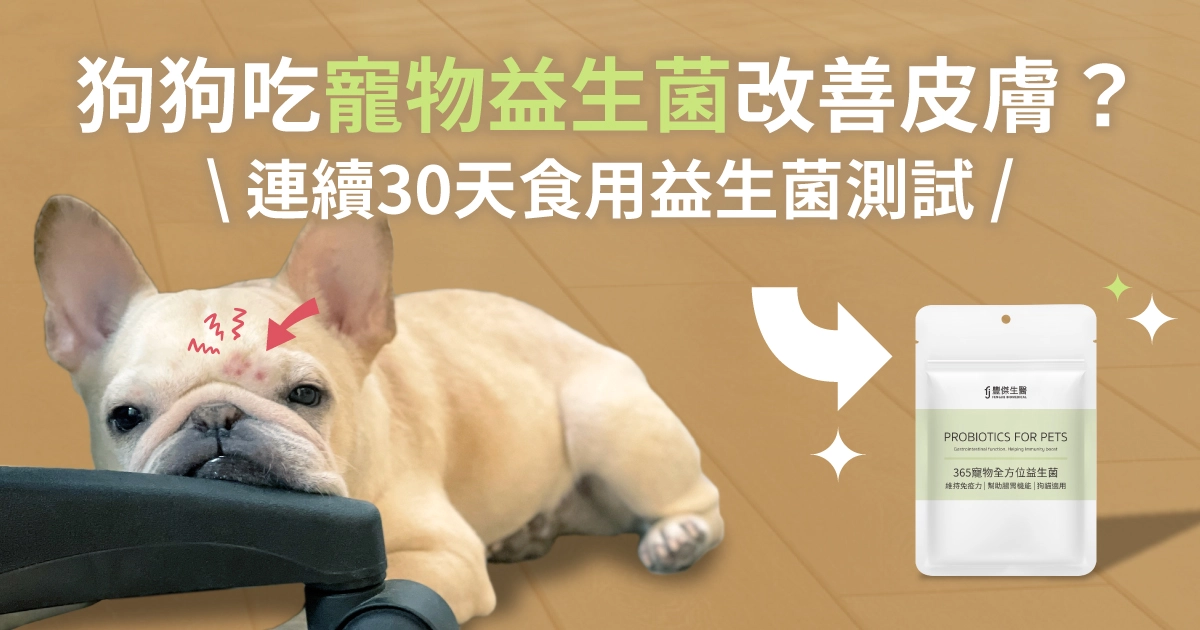 狗狗吃寵物益生菌改善皮膚，連續30天吃寵物益生菌測試