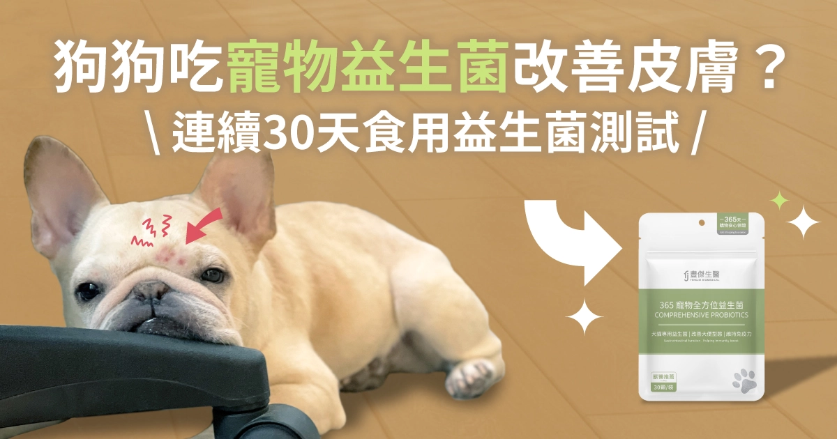 狗狗吃寵物益生菌改善皮膚，連續30天吃寵物益生菌測試
